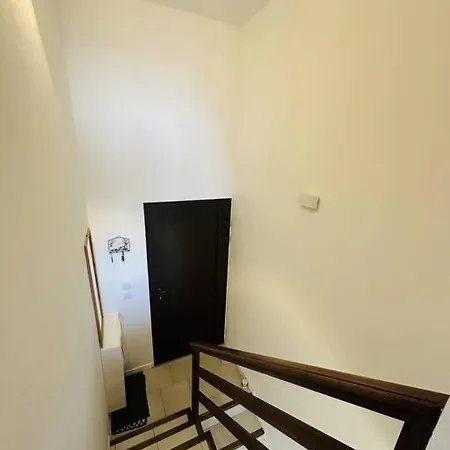 Vue 5 Personnes LʼÎle-Rousse