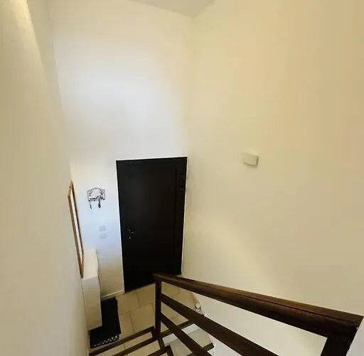 Vue 5 Personnes LʼÎle-Rousse